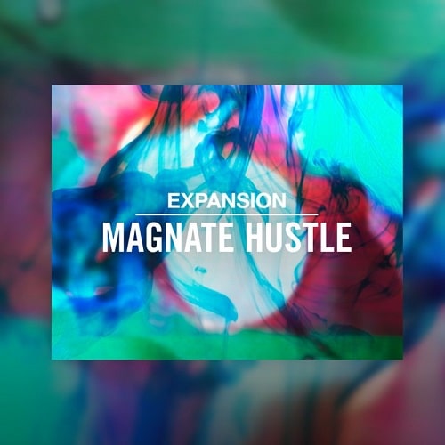 NI Expansion: Magnate Hustle v2.0.1 WIN & MAC