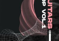 Samplegod Pop Guitars Vol.1 WAV