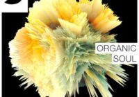 Samplephonics – Organic Soul MULTIFORMAT