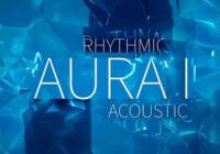 The New Rhythmic Aura Vol.1 KONTAKT