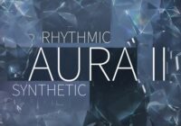 The New Rhythmic Aura Vol 2 KONTAKT