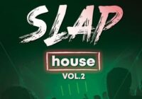 BS Slap House Vol.2 WAV MIDI FXP