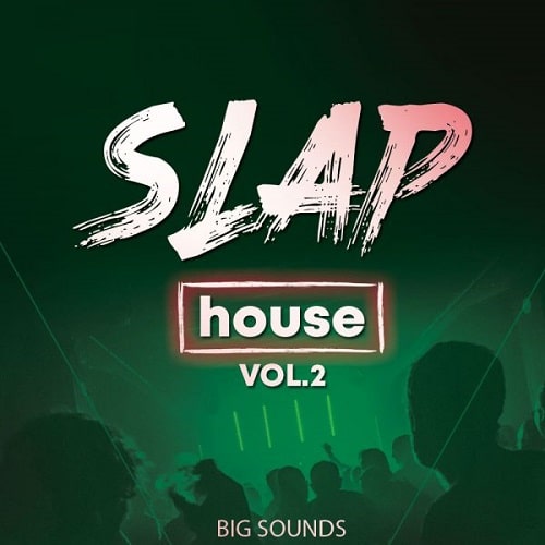BS Slap House Vol.2 WAV MIDI FXP