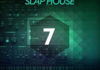 Baltic Audio Sylenth1 Essentials Vol 7: Slap House WAV MIDI FXP