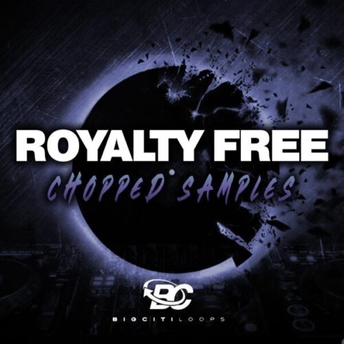 Big Citi Loops Royalty Free Chopped Samples WAV