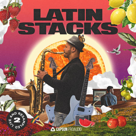 Capsun ProAudio Latin Stacks Live & Resampled Vol 2 WAV