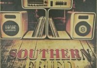 Divided Souls Southern Fried Vol. 3 WAV