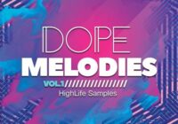 Dope Melodies Vol.1 WAV MIDI