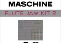 Feed Your Soul Music Feed Your Soul Maschine Flute Jam Kit 2 WAV