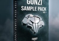 GONZI Sample Pack Vol.1 WAV FXP