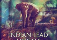Indian Lead Vocals WAV