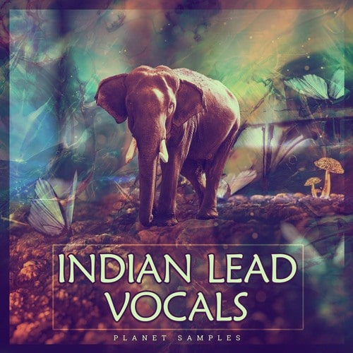 Indian Lead Vocals WAV
