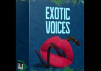 Midilatino Reggaetón Vocal Chops (Excotic Voices) WAV