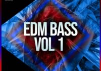 Toolbox Samples EDM Bass Vol 1 WAV