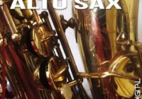 Trip Digital Raw Alto Sax WAV