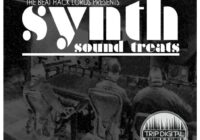 Trip Digital Synth Sound Treats WAV