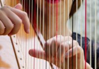 noiiz Harmonious Harps WAV