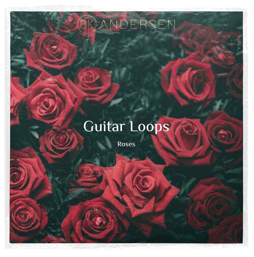BK Andersen – Guitar Loops Roses