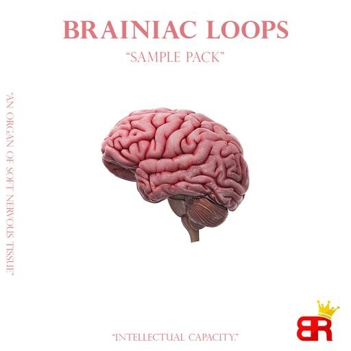 Brown Royal Brainiac Loops WAV