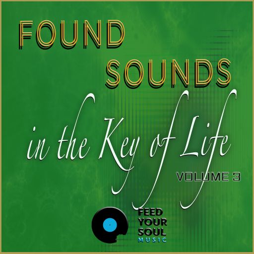 Feed Your Soul Music Found Sounds Vol. 3 Sounds in The Key of Life WAV