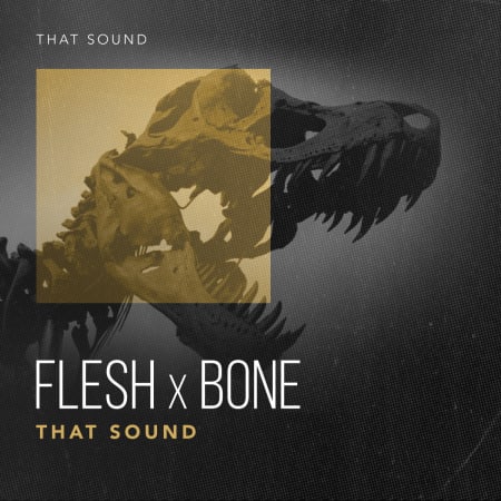 That Sound Flesh X Bone WAV