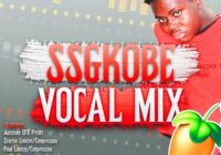 Lil Gunnr The SSGKobe Vocal Preset + ADLIBS FST