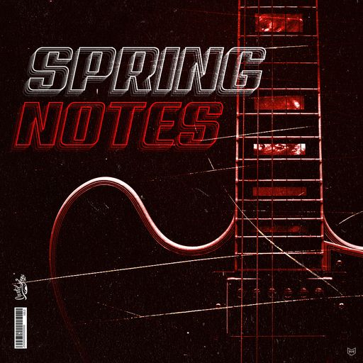 Cartel Loops Spring Notes WAV