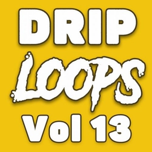 DiyMusicBiz Drip Loops Vol.13 WAV