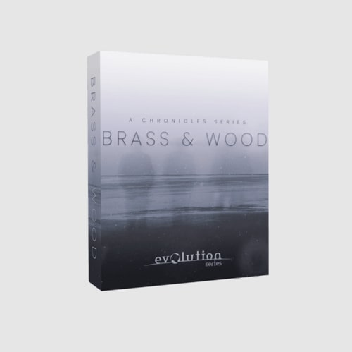 Evolution Series Chronicles: Brass & Wood v1.0 KONTAKT