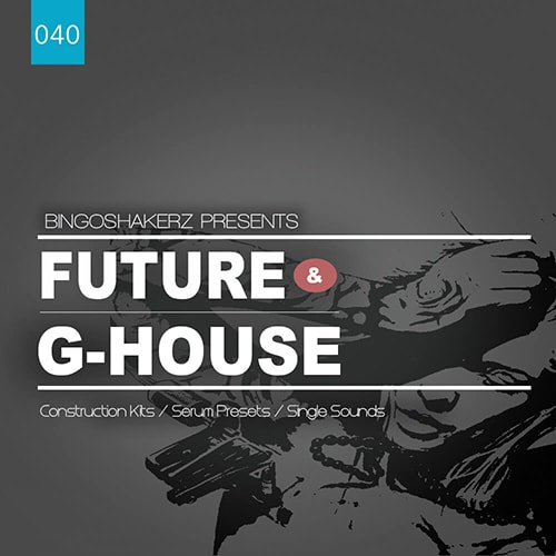 BS040 Future & G-House WAV MIDI FXP