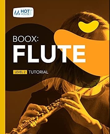 Boox: Flute: Level 2 PDF