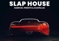 Oversampled Ultimate Slap House 2022 Sample Pack WAV MIDI