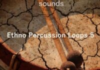 Riemann Kollektion ASHRAM Ethno Percussion Loops 5 WAV