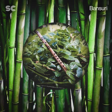 Sonic Collective Bansuri WAV