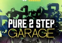SSR Pure 2 Step & Garage WAV