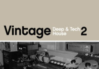 Waveform Recordings Vintage Deep & Tech House Vol.2 WAV