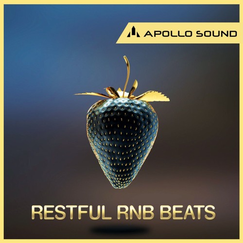 APOLLO SOUND Restful RnB Beats MULTIFORMAT