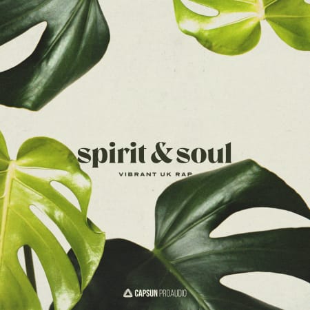 Capsun ProAudio Spirit & Soul Vibrant UK Hip Hop WAV