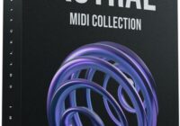 Cymatics Astral MIDI Collection