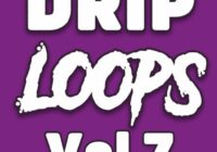 DiyMusicBiz 808 Drip Vol 7 WAV