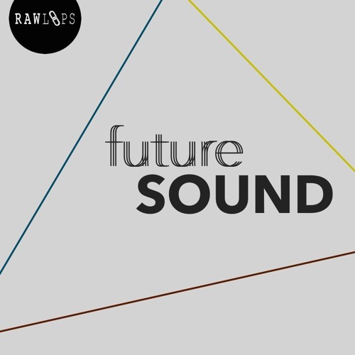 RAW LOOPS Future Sound WAV