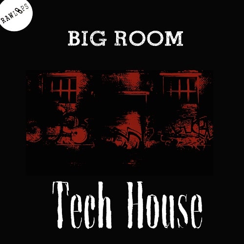 RAW LOOPS BIG Room Tech House WAV