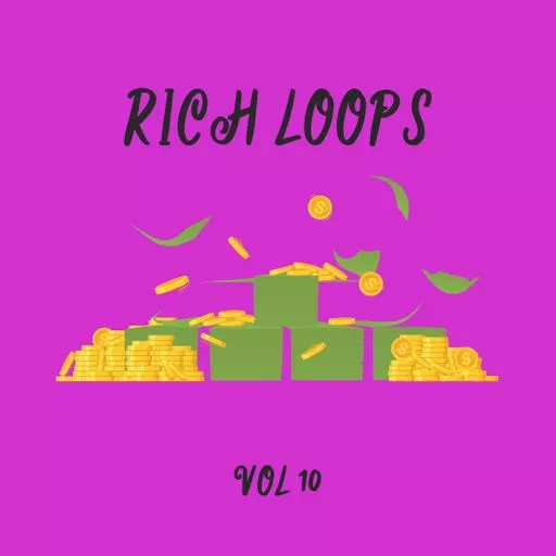 DiyMusicBiz Rich Loop Vol 10 WAV