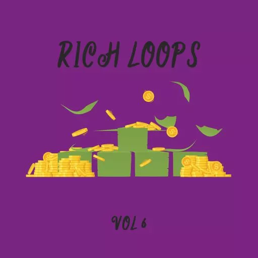 DiyMusicBiz Rich Loop Vol.6 WAV