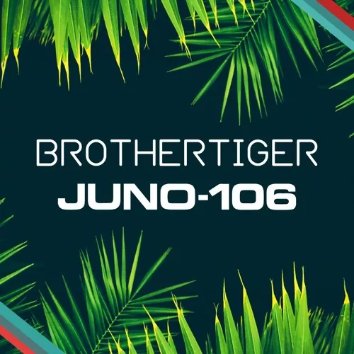 JUNO-106 Brothertiger v1.0.0 EXPANSION