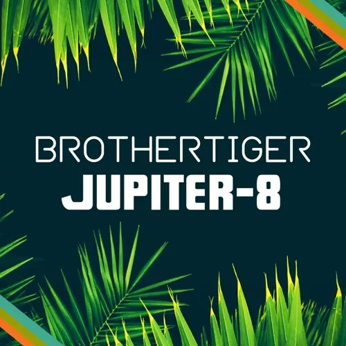 JUPITER-8 Brothertiger v1.0.0 EXPANION