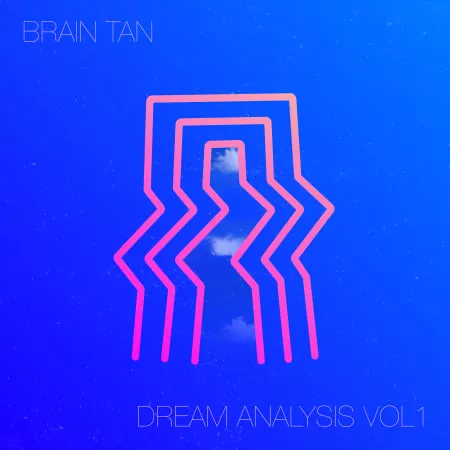 RARE Percussion Brain Tan Dream Analysis Vol.1 WAV