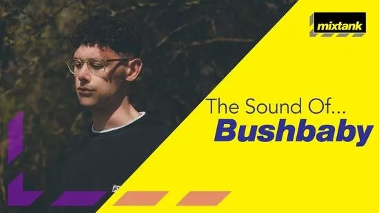 The Sound Of Bushbaby TUTORIAL