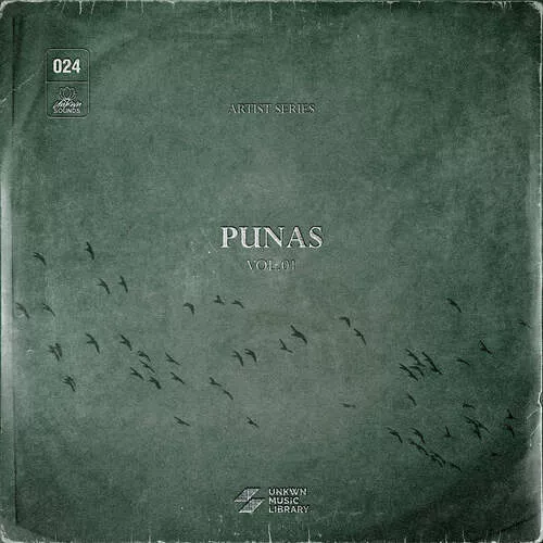 Punas Vol. 1 (Sample Pack) (Compositions & Stems) WAV