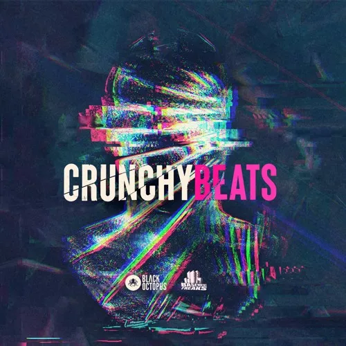 Basement Freaks Presents Crunchy Beats WAV
